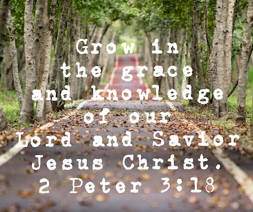 grow in the grace and knowledge of our lord and savior jesus christ