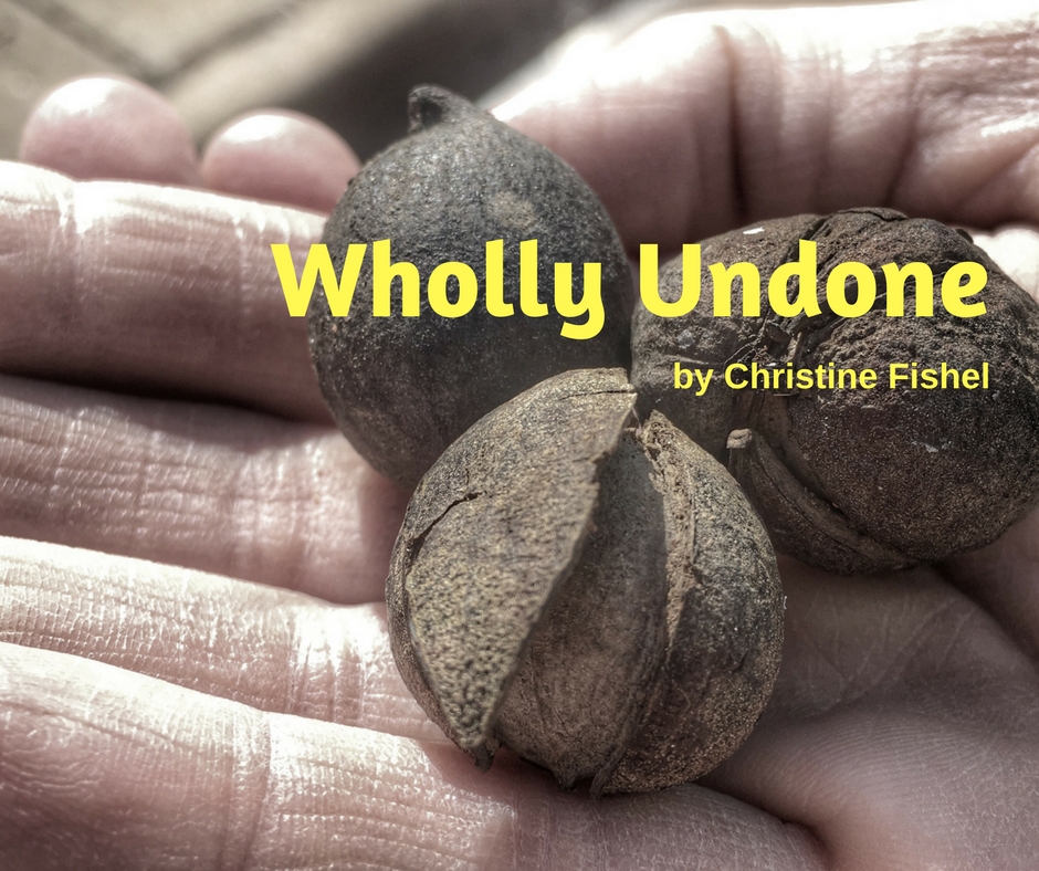 wholly undone