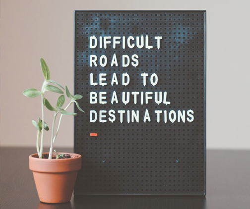 photo of a plant and sign that reads "Difficult roads lead to beautiful destinations"