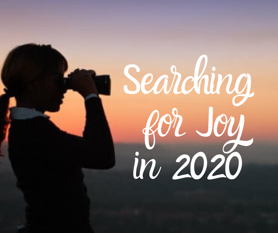searching for joy in 2020
